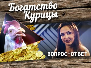 Богатство Курицы: Вопросы для Юли