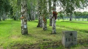 Закаты алые Авторы-Н Осошник,В Осошник -кавер-Г.Погорельская.mp4