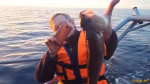окунь на килограмм Рыбалка троллингом на Ладожском озере