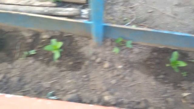 Декоративный заборчик смотреть онлайн