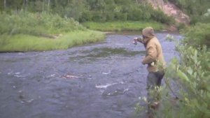 Вот это рыбалка в Коми. Хариус.