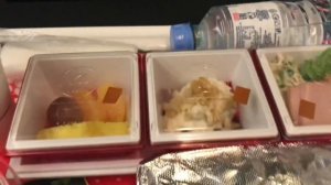 JAL - Японские авиалинии. Полёт в премиум-экономе Москва - Токио Boeing 787-800