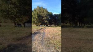 Отдых на реке Ахтуба с. Болхуны.