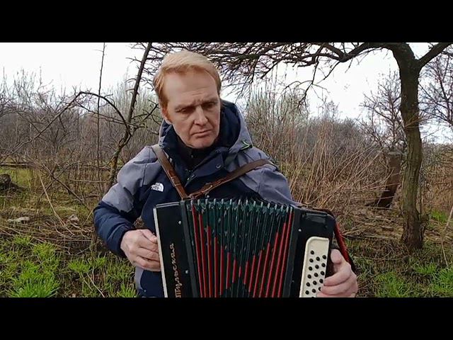 Александр Донецкий (г. Горловка) исполняет песню ЗВЕРОБОЯ  - "Мой Ленинград".