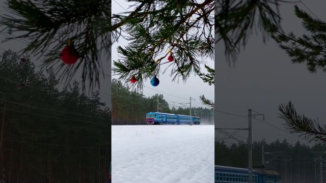 Дизель поезд ДРБ1 по маршруту Осиповичи Бобруйска