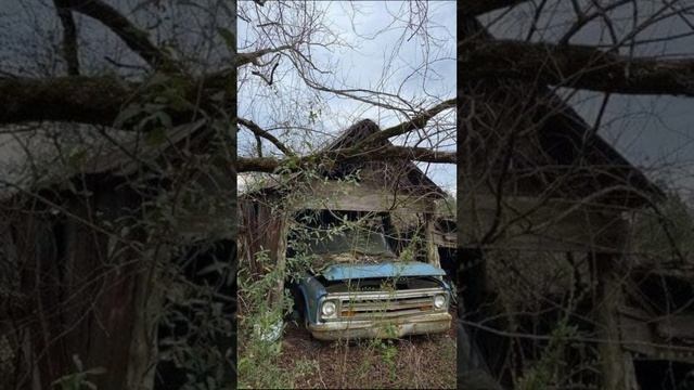 Заброшенные дома, в которых уже не живут.