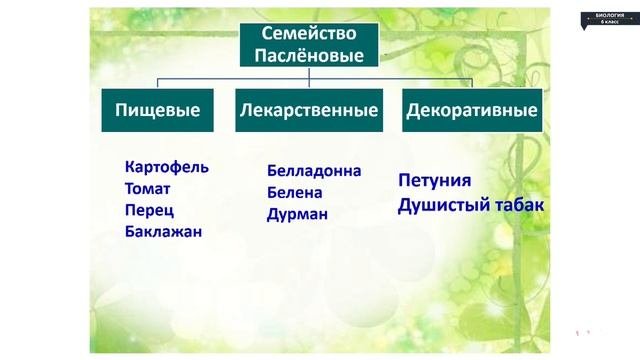 Заполнить таблицу классификации растений.