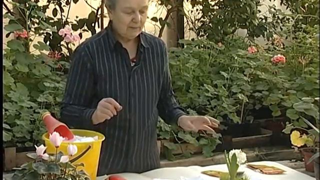 Садовник рекомендует№109 20 01 16 13 30 смотреть онлайн