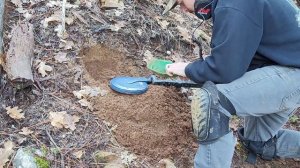 First Time Using the Minelab SDC 2300!
