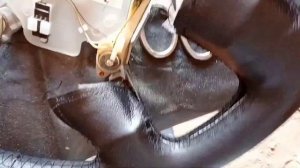 ?? Перетяжка руля кожей своими руками. Ниссан Альмера н15.