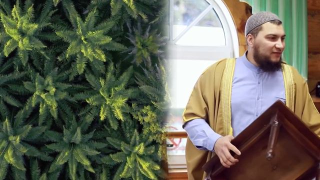 9 Эволюция или сотворение ?