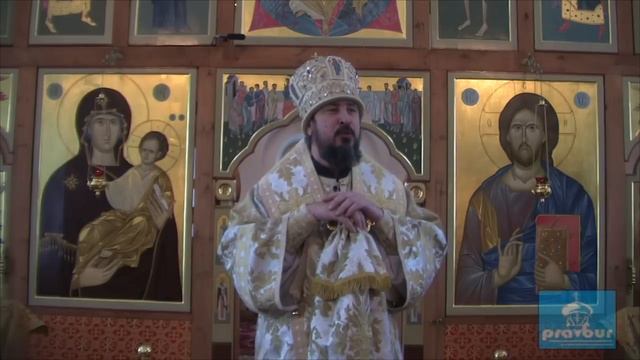 Слово митрополита Савватия по окончании Божественной Литургии в неделю 37 ю по Пятидесятнице смотреть онлайн