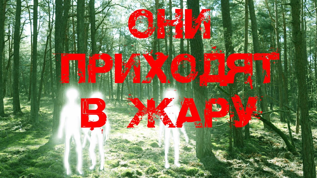 Страшилки про лес. Компот страшилки про лес. Книга страшилки про лес. Страшные истории про лес читать.