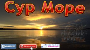 Сур Море!!! Отличный отдых с друзьями.