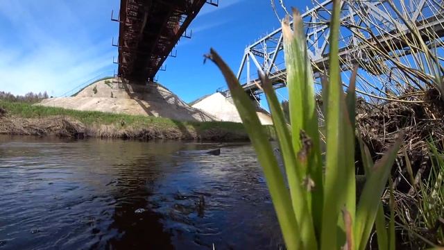 Соденьга— река в Устьянском районе! смотреть онлайн