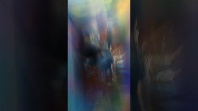 Как правильно мыть собак