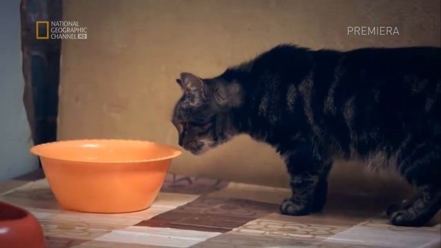 Художественный труд. смотреть онлайн