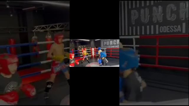 Тренировка Кикбоксинг | Box | Спарринги ?