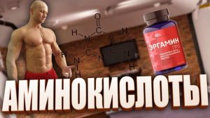 Нужны ли Аминокислоты для роста мышц и здоровья? Отвечает профессор