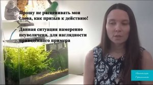 "Дохнет рыбка - что делать" / Как исправить ошибки новичков при запуске аквариума