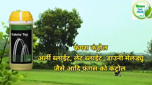 Basf Cabrio Top Fungicide |Cabrio Fungicide смотреть онлайн