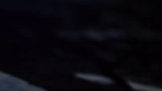 Tango with Lions - Black смотреть онлайн