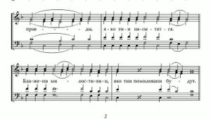 Во Царствии Твоем...напев Почаевской Лавры #божественнаялитургия #мы