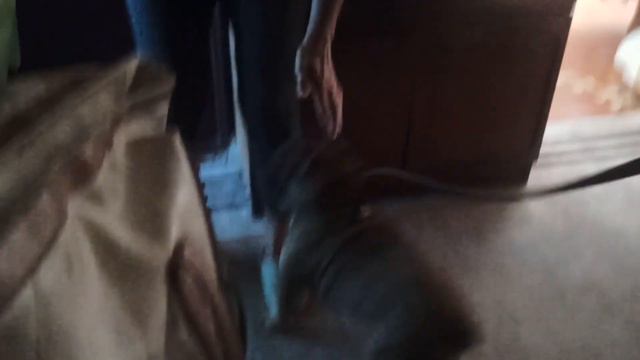 VLOG Отправила посылку Кости. ШОК как мы могли ее так оставить смотреть онлайн