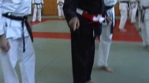 Дзесинмон Рауль Рисо, Семинар в Москве. Ч 3