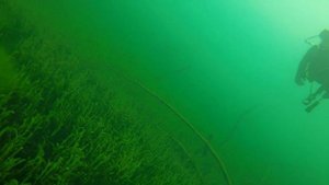 оз. Синявино дайвинг