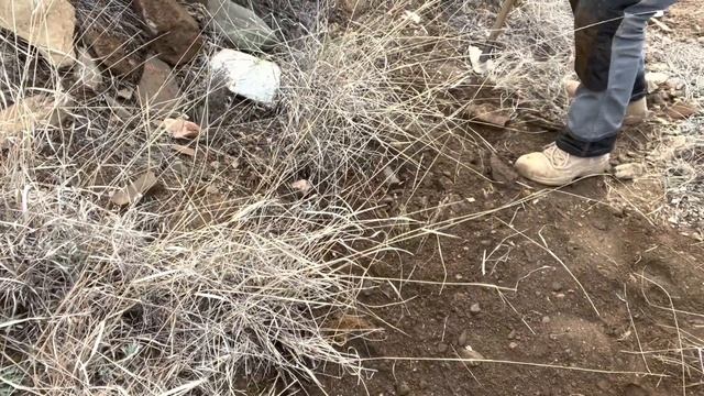 Garrett Axiom compared to Minelab GPX6000-this dog will hunt! ?? Metal detecting for Arizona Gold! смотреть онлайн