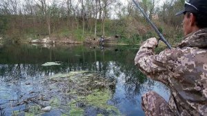 Рыбалка , ловля крупной уклейки на поплавочную удочку