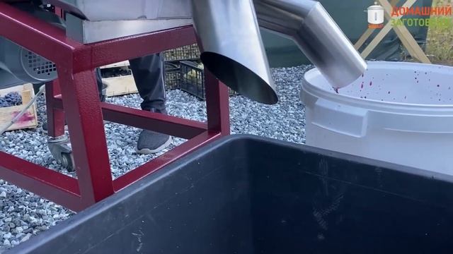 Как быстро отделить виноград от косточки и кожуры? смотреть онлайн