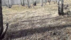Анекдот про то как дед.сын и внук на рыбалку сходили.