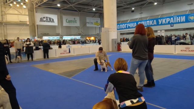 VID 20171203 113959 смотреть онлайн