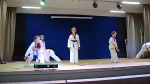 выступление тхэквондо