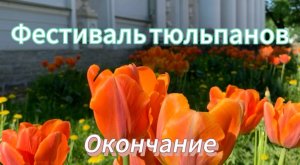 Фестиваль тюльпанов на Елагином острове. Окончание. Тюльпаны, ландыши, черная белка, сирень.