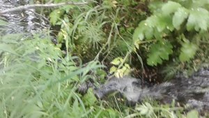 12.07.2020. Малый Сокочинский водопад