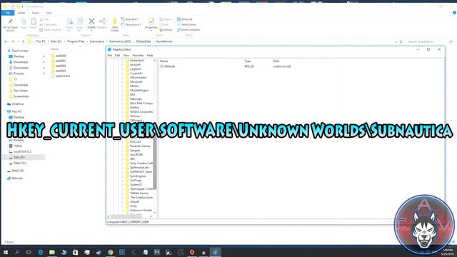 Subnautica How to enable console with REGEDIT cheat
