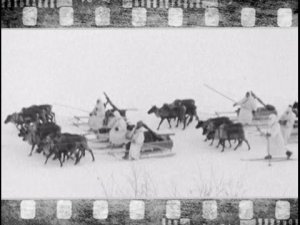 За полярным кругом. Использование оленей в годы Великой Отечественной войны