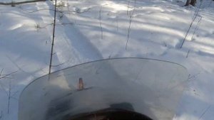 Привада на Медведя Сделал Бочку для Медведя