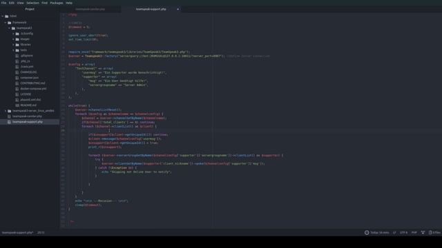 PHP Timelapse | Teamspeak-Support-Bot Programmieren смотреть онлайн