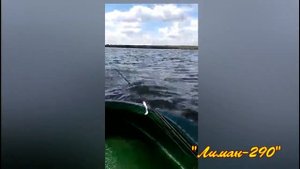 Лодки Мефодий. Лиман-290 - видео Анура Саитова