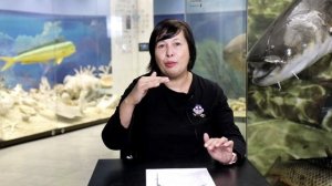 Слышат ли рыбы и как они общаются между собой? Наталья Носова