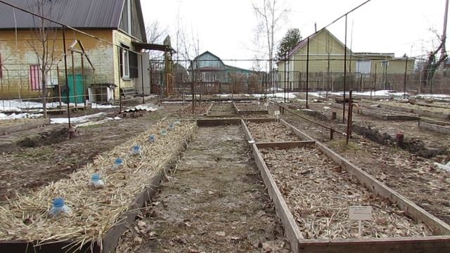 Когда прогревается почва под мульчей ранней весной? смотреть онлайн