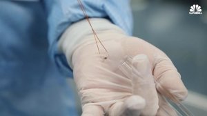 Why The World Relies On ASML For Machines That Print Chips