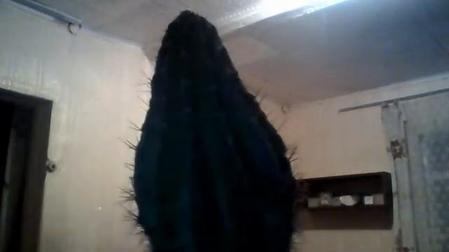 a5. смотреть онлайн