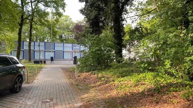 Короста или чесотка ? как выглядит старшая школа и садик в Нидерландах смотреть онлайн