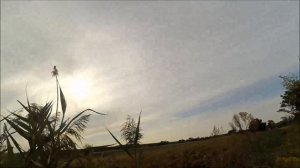 Охота на вяхеря и на утку!!