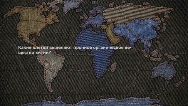 Какие клетки выделяют прочное органическое вещество хитин? смотреть онлайн